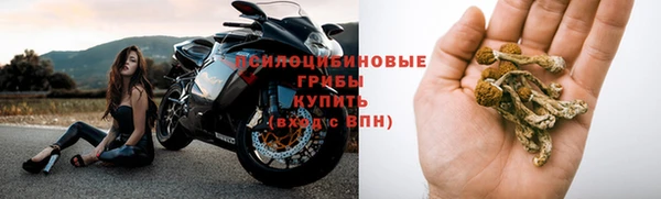 2c-b Верхний Тагил