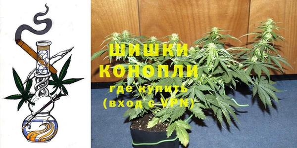 2c-b Верхний Тагил