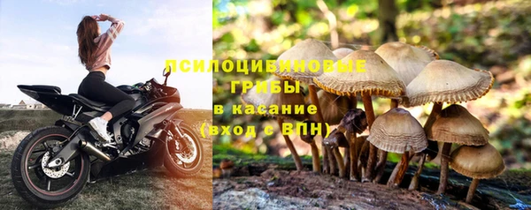 2c-b Верхний Тагил