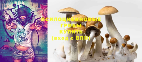 2c-b Верхний Тагил