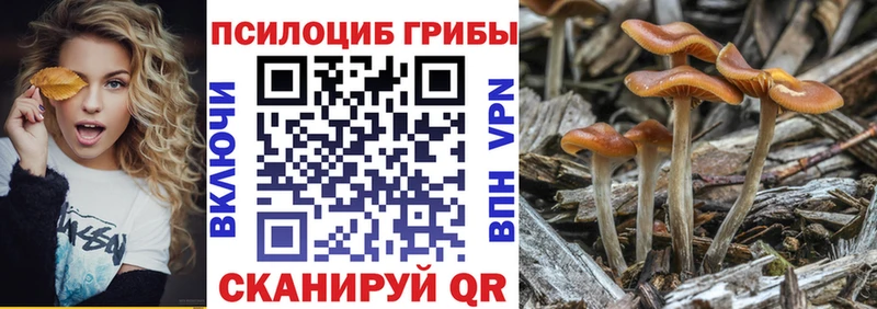 Галлюциногенные грибы ЛСД  купить наркотик  Новочебоксарск 
